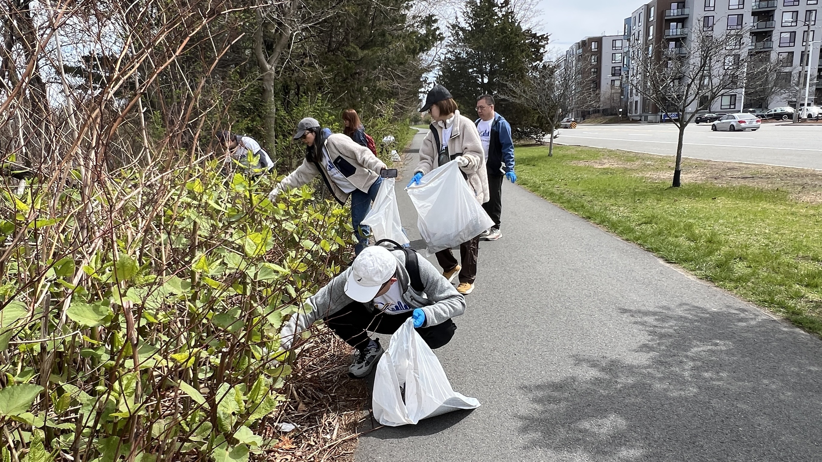 Charles River Community Cleanup photo 2